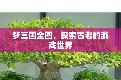 探索古老的游戏世界图片