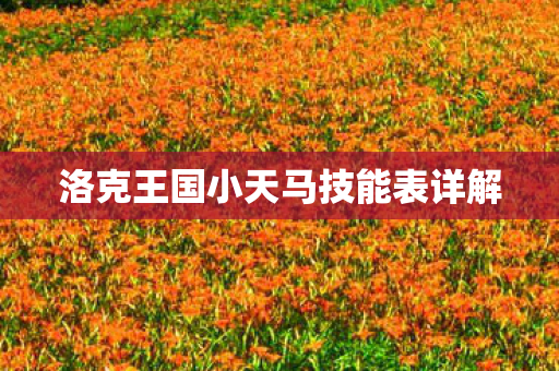 洛克王国小天马技能表详解图片