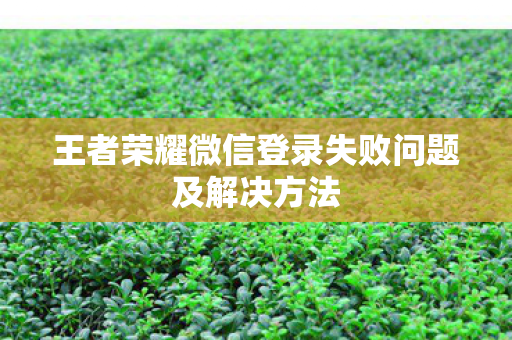 王者荣耀微信登录失败问题及解决方法图片