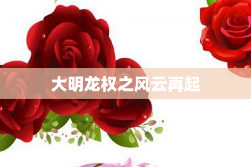 大明龙权之风云再起图片