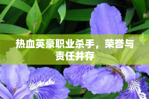 热血英豪职业杀手图片