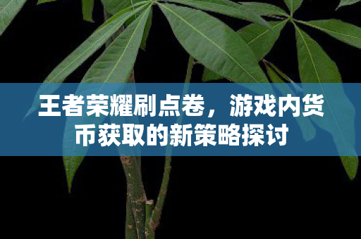 游戏内货币获取的新策略探讨图片