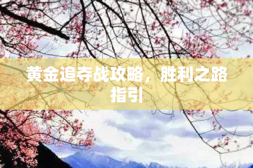 黄金追夺战攻略图片