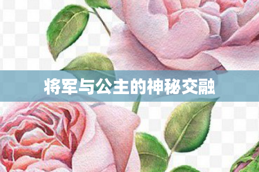 将军与公主的神秘交融图片