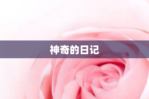 神奇的日记图片