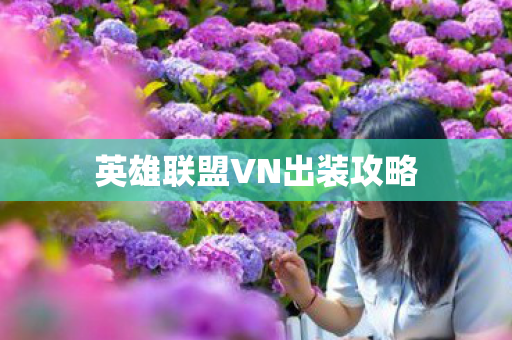 英雄联盟VN出装攻略图片