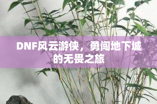勇闯地下城的无畏之旅图片