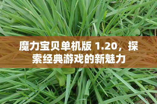 探索经典游戏的新魅力图片