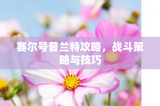赛尔号普兰特攻略图片