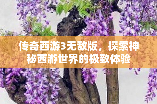 探索神秘西游世界的极致体验图片