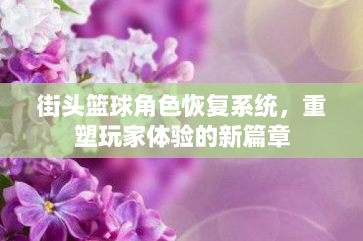 街头篮球角色恢复系统图片