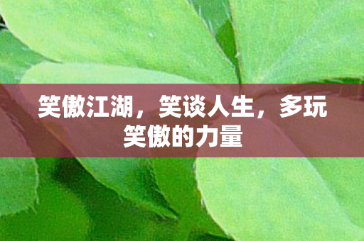 多玩笑傲的力量图片
