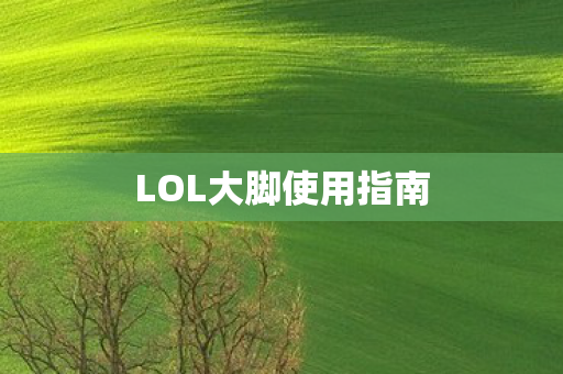 LOL大脚使用指南图片