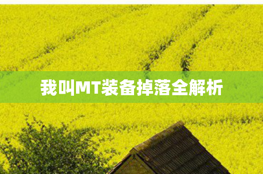 我叫MT装备掉落全解析图片