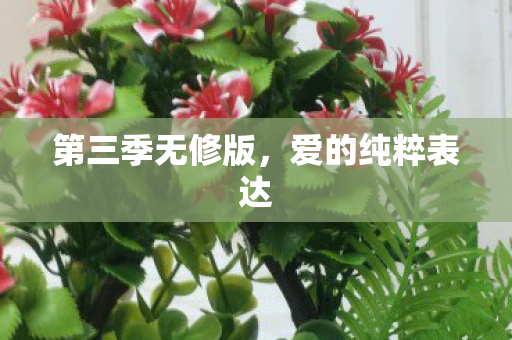 第三季无修版图片