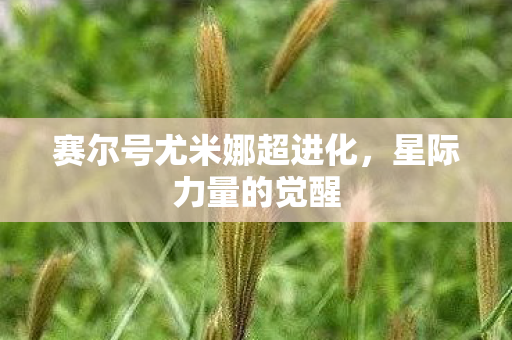 赛尔号尤米娜超进化图片