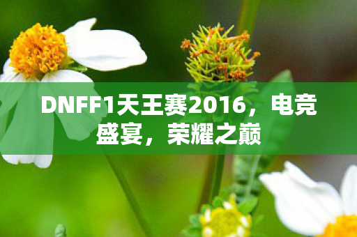 DNFF1天王赛2016图片