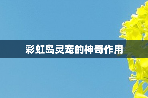 彩虹岛灵宠的神奇作用图片