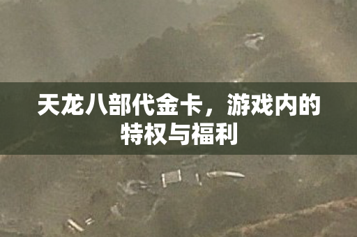 游戏内的特权与福利图片