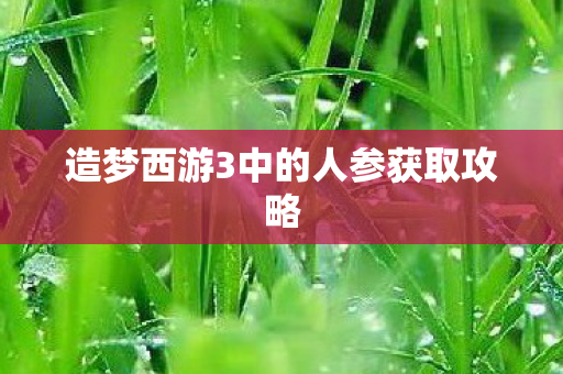造梦西游3中的人参获取攻略图片