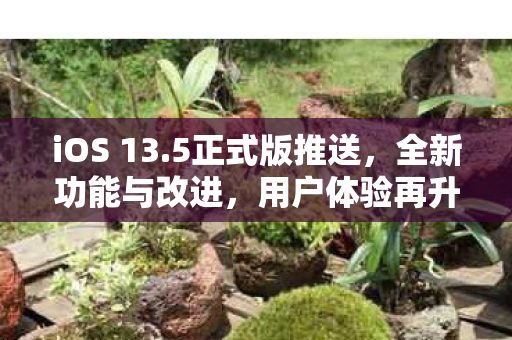 全新功能与改进图片
