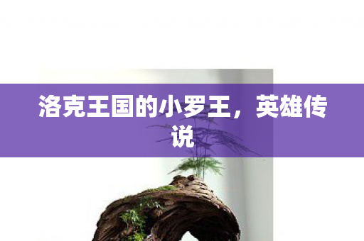 洛克王国的小罗王图片