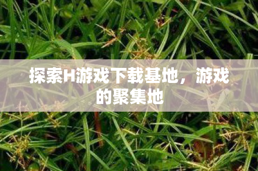 探索H游戏下载基地图片
