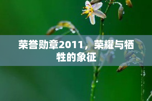 荣誉勋章2011图片