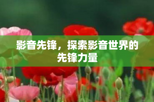 探索影音世界的先锋力量图片