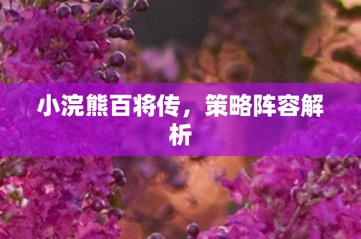 小浣熊百将传图片