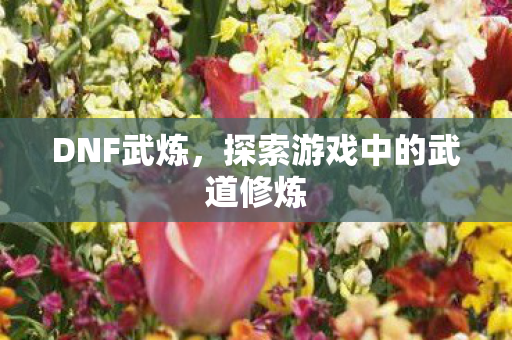 探索游戏中的武道修炼图片