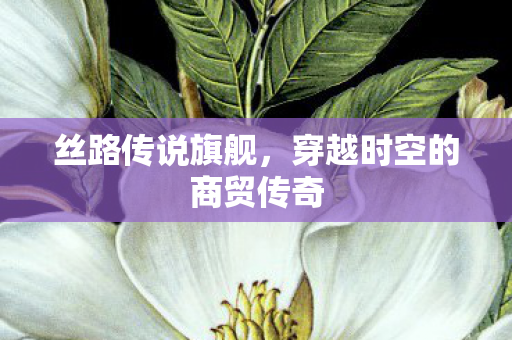 穿越时空的商贸传奇图片