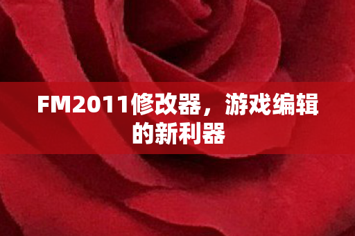 FM2011修改器图片