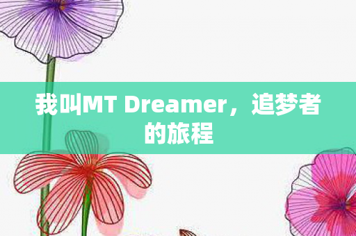 我叫MT Dreamer图片