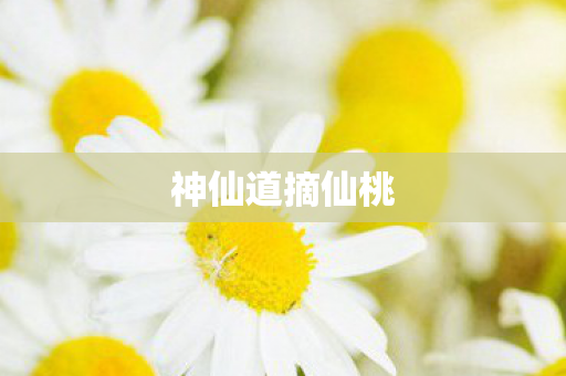 神仙道摘仙桃图片