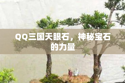 QQ三国天眼石图片