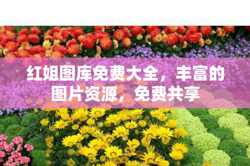 红姐图库免费大全图片