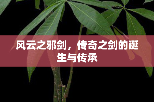 传奇之剑的诞生与传承图片