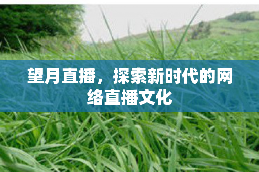 探索新时代的网络直播文化图片
