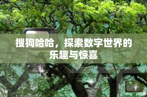 探索数字世界的乐趣与惊喜图片