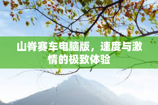 速度与激情的极致体验图片