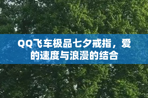 QQ飞车极品七夕戒指图片