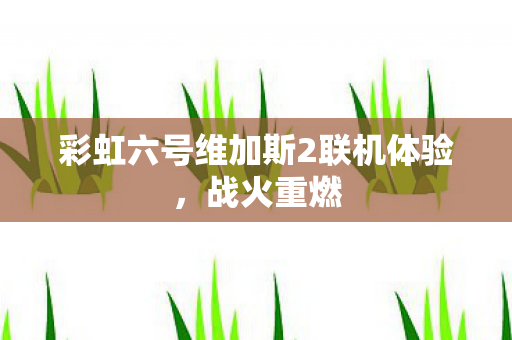 彩虹六号维加斯2联机体验图片