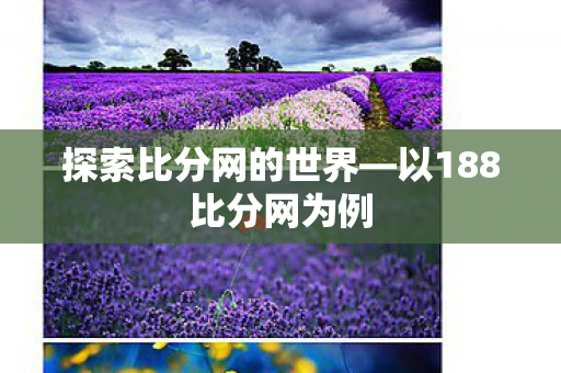 以188比分网为例图片