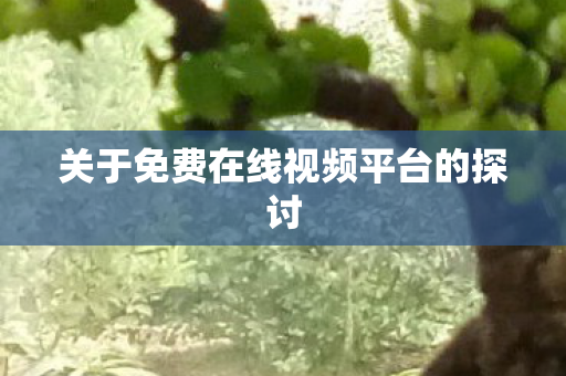 关于免费在线视频平台的探讨图片