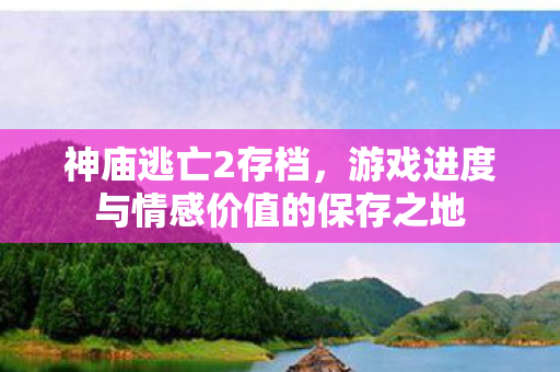 游戏进度与情感价值的保存之地图片