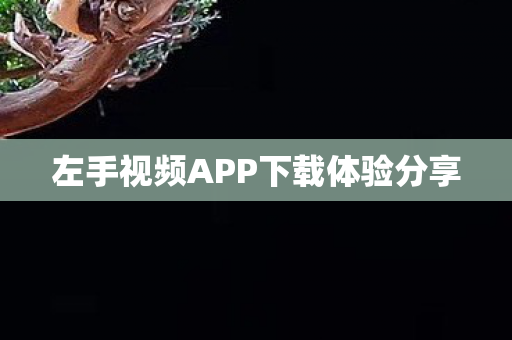 左手视频APP下载体验分享图片