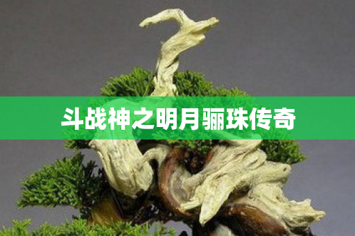 斗战神之明月骊珠传奇图片