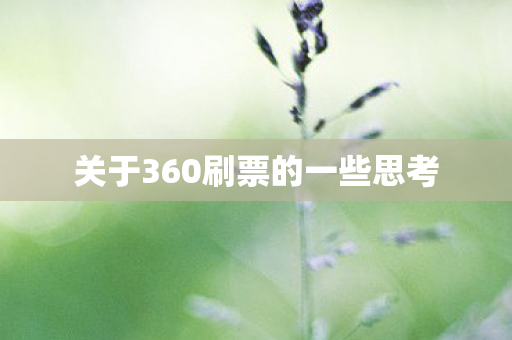 关于360刷票的一些思考图片