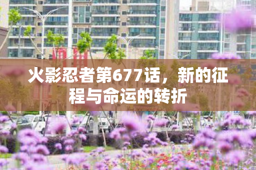 新的征程与命运的转折图片
